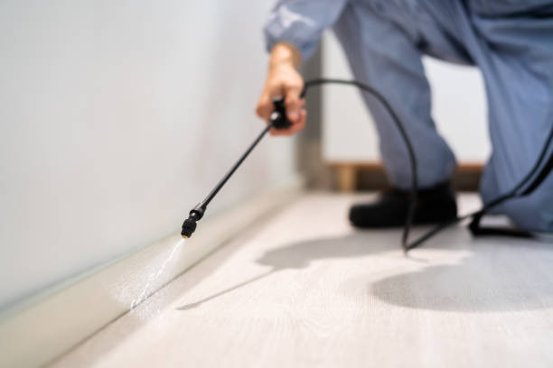 Professional exterminator conducting IPM assessment in Humansville